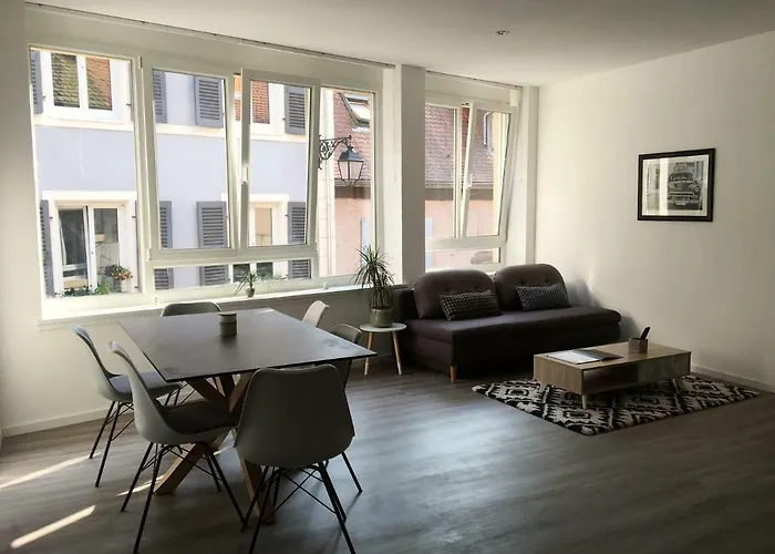 L'ours Lejlighed Colmar